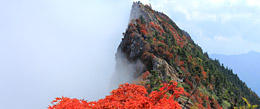 四国の日本百名山 剣山・石鎚山の旅