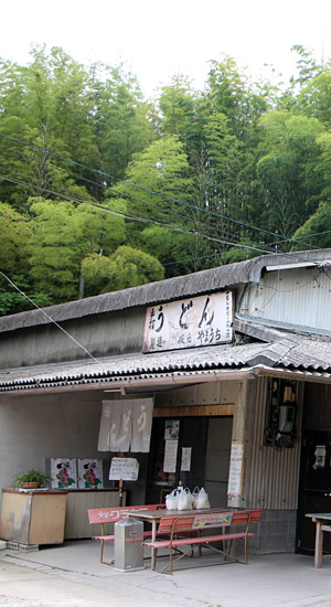 山内うどん店のうどん