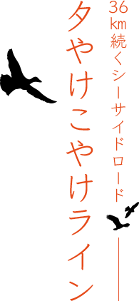 36kmのシーサイドロード夕やけこやけライン